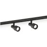 Wever & Ducré Sara On Track 1.0 PAR16 Track lighting fixture