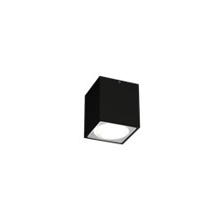Wever & Ducré Train Outdoor 1.0 Ceiling lamp