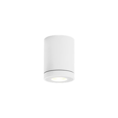 Wever & Ducré Tube 1.0 LED Ceiling lamp