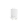 Wever & Ducré Tube 1.0 LED Ceiling lamp