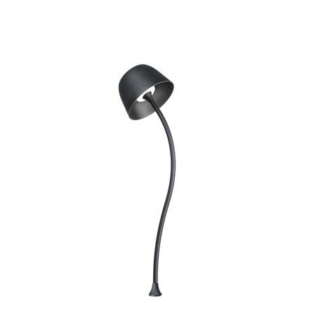 Wever & Ducré Pole 600 Curved Swam
