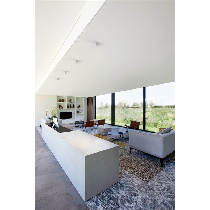 Wever & Ducré Ray Mini 1.0 PAR16 Deckenlampe