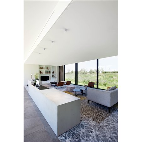 Wever & Ducré Ray Mini 1.0 PAR16 Ceiling lamp