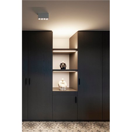 Wever & Ducré Pirro Spot Surface 4.0 Ceiling lamp