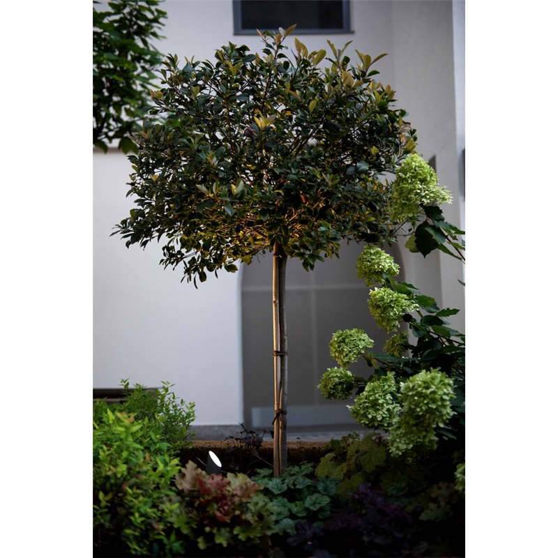 Wever & Ducré Stipo 4.0 Bodenlampe
