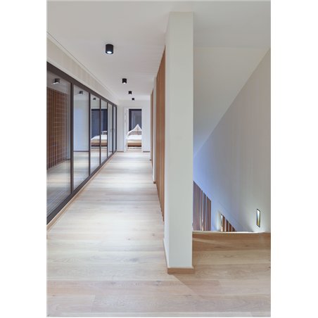Wever & Ducré Ray 1.0 LED Ceiling lamp