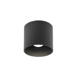Wever & Ducré Ray Outdoor 1.0 Ceiling lamp