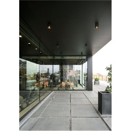 Wever & Ducré Ray Outdoor 1.0 Ceiling lamp