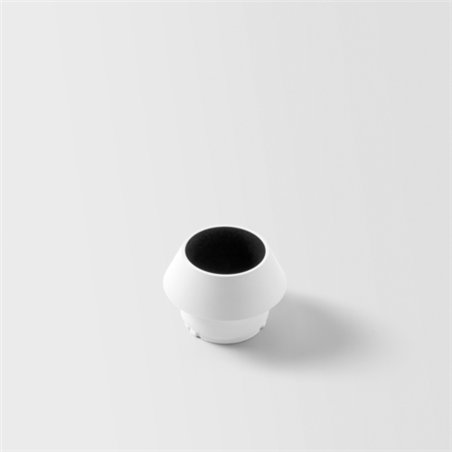 Modular Light Cone 44
