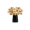 Buy Slamp CLIZIA online? Fast & safe delivery!