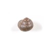 SELETTI Snail hanger 1 - sleeping - color