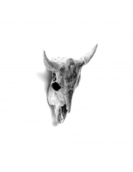 SELETTI Diesel Wunderkammer "Diesel-I'm Horny" Aliminium bison skull