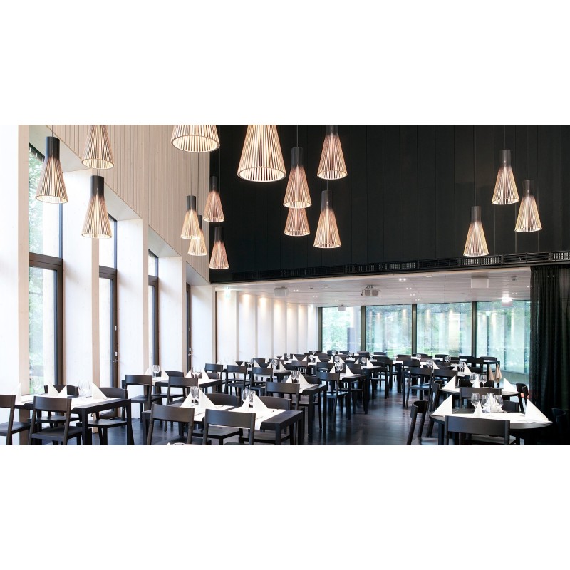 SECTO DESIGN Secto 4200 Pendant